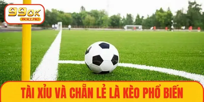 Tài xỉu và chẵn lẻ là những kèo phạt góc phổ biến, dễ tiếp cận