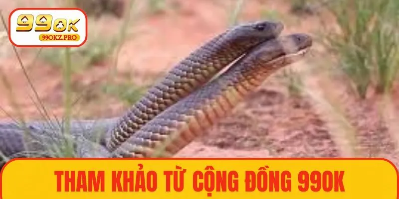 Tham khảo thông tin từ 99OK để nắm chính xác